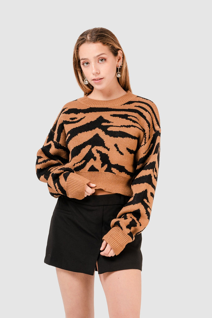 Chompa Blinc CHOMPAS NOW Marrón S 